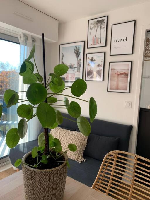 L'Appart 204, Superbe Appartement En Residence Villers-sur-Mer Eksteriør bilde